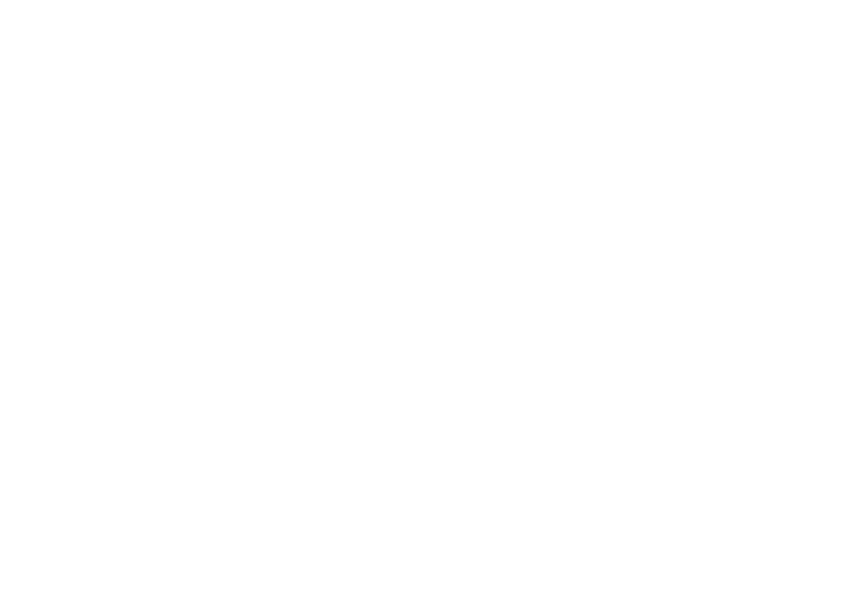 The Gunsmiths - Let us repair and get your gun back to you